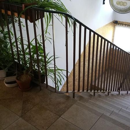 Dom Sportowca Roko Daire Gdansk Dış mekan fotoğraf